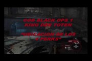 COD BLACK OPS 1 LOS 4 PERKS