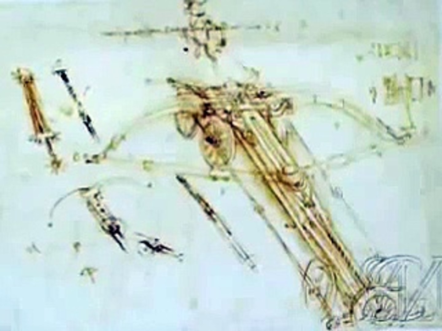 ⁣Leonardo da Vinci - Codex Atlanticus