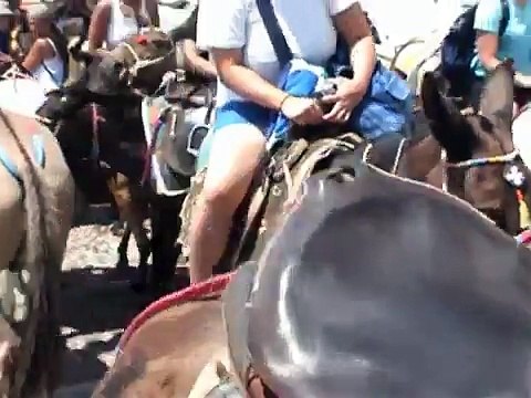 SANTORINI, GREECE - FIRA, DONKEYS, VOLCANO and HOT SPRINGS TOUR