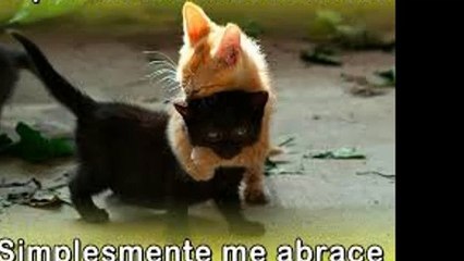 O SILENCIO DOS SENTIMENTOS