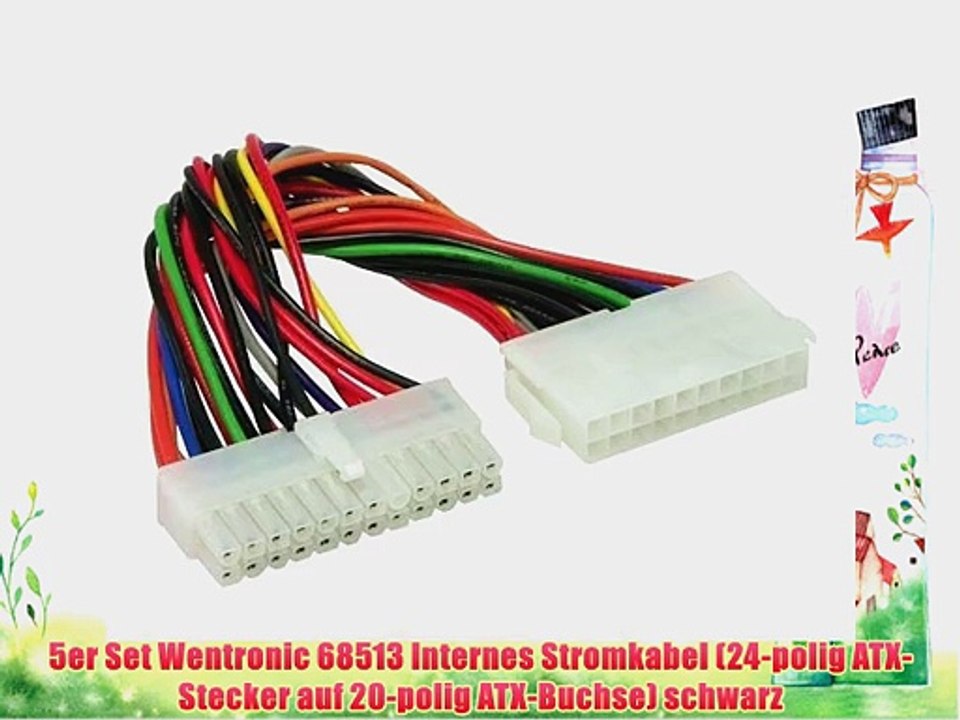 5er Set Wentronic 68513 Internes Stromkabel (24-polig ATX-Stecker auf 20-polig ATX-Buchse)