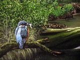 Nico Bulder wildlife painter [Veluwe]