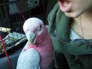 I apparently lie about everything as this video shows