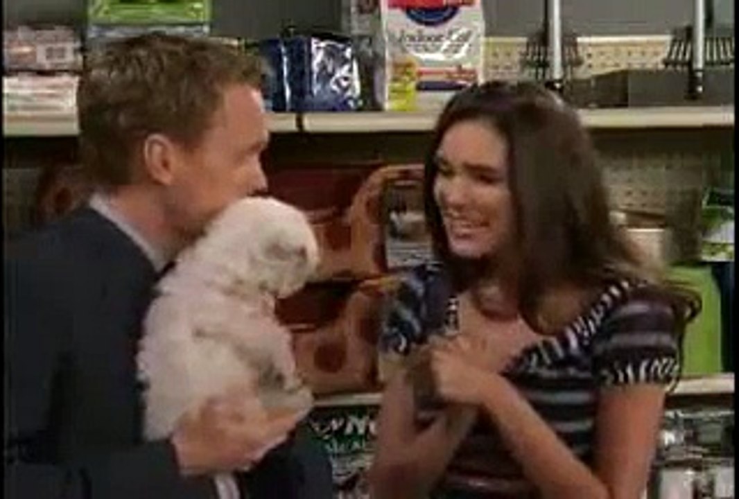 How I Met Your Mother Barneys Ode to Bimbos
