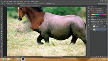 Photoshop Video Tutorial- Photo Manipulation