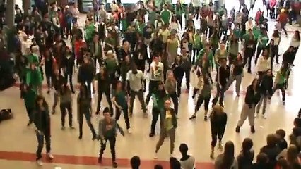 Panorama Ridge "Moves Like Jagger" Flash Mob 2012