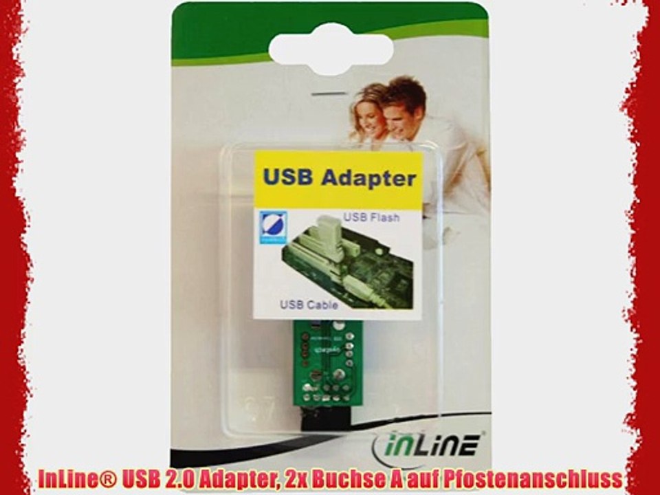 InLine? USB 2.0 Adapter 2x Buchse A auf Pfostenanschluss