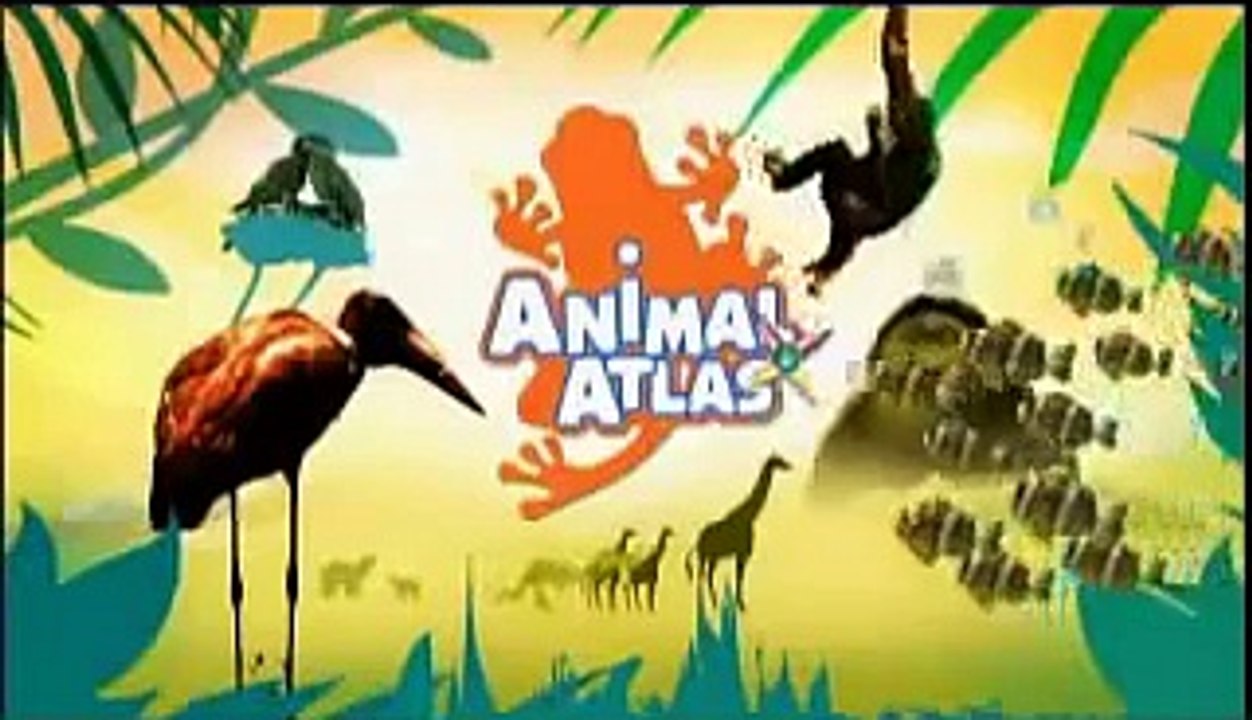 Animal Atlas DVDs Trailer