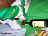 St Patricks Day Irish Dogs! Funny Pranks and Funny Animals Clips 2015   Funny Videos 2015