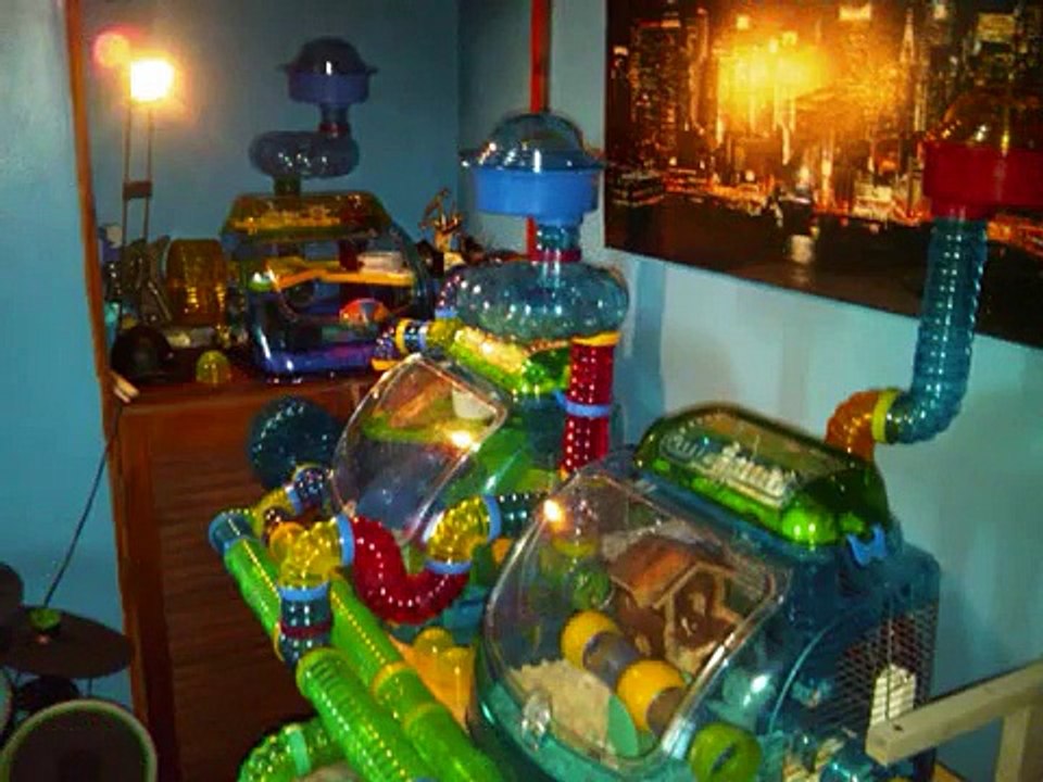 Hamster Mansion Setup Crittertrail and Habitrail
