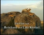 Afrikas Tiere- Teil 1