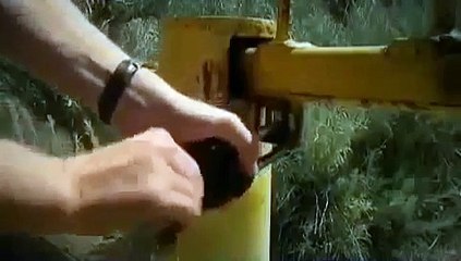 The Biggest Dinosaurs of All Time (AMAZING DINOSAUR DOCUMENTARY)