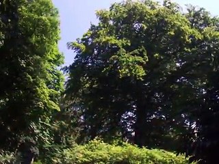 Bryn Terfel Danny Boy