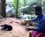 When Crazy Animals Attack Dog with rabies attacks crazy man! ~ Best Funny Animals 20141