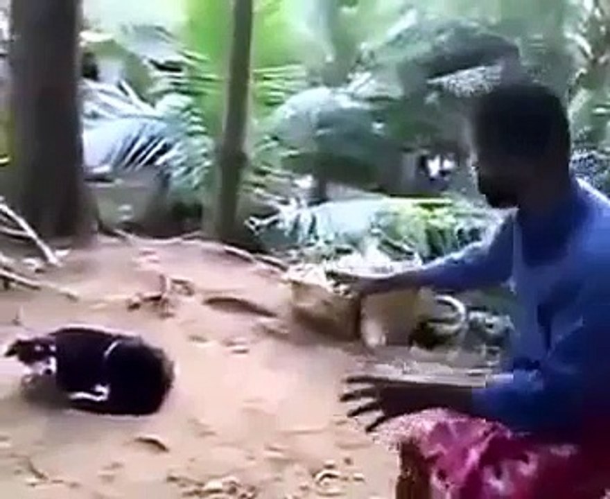 When Crazy Animals Attack Dog with rabies attacks crazy man! ~ Best Funny Animals 20141