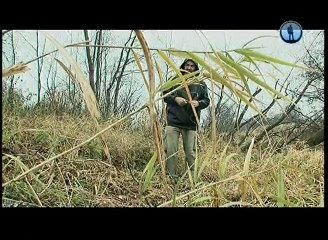 Рейтинг Тимофея Баженова - Невинный убица (про животных)