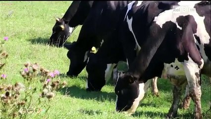 Il Pallone di Gravina in Puglia - Geo Rai 3
