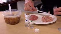 PerkinElmer Porcine Detection Kits - Ensuring Halal Food Integrity