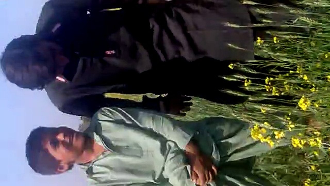 haroon
