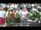 Plan de Negocio entre Productores Agrarios - Jepelacio - Moyobamba