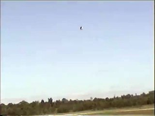 Helicopter full down autorotation 2