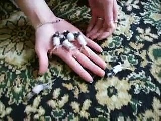 Jaapani tantsuhiired/ Japanese dancing mice