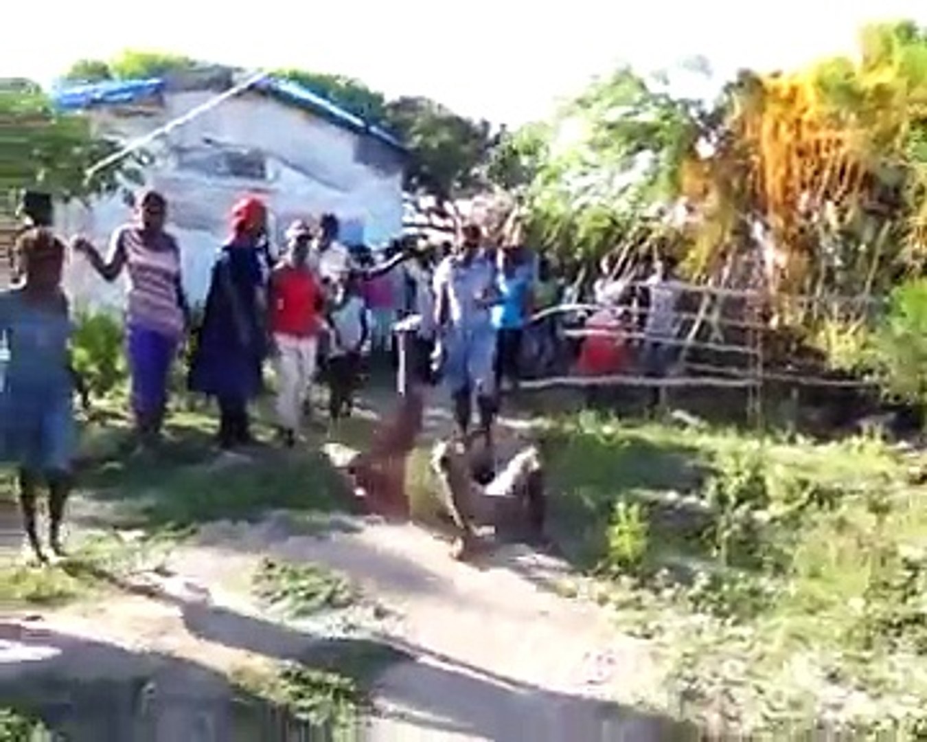 Haitian vodoo live