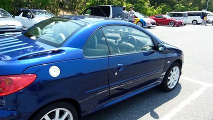 French Cars in Japan