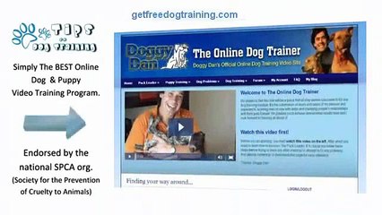 An Honest Review Of Doggy Dans Online Dog Trainer.
