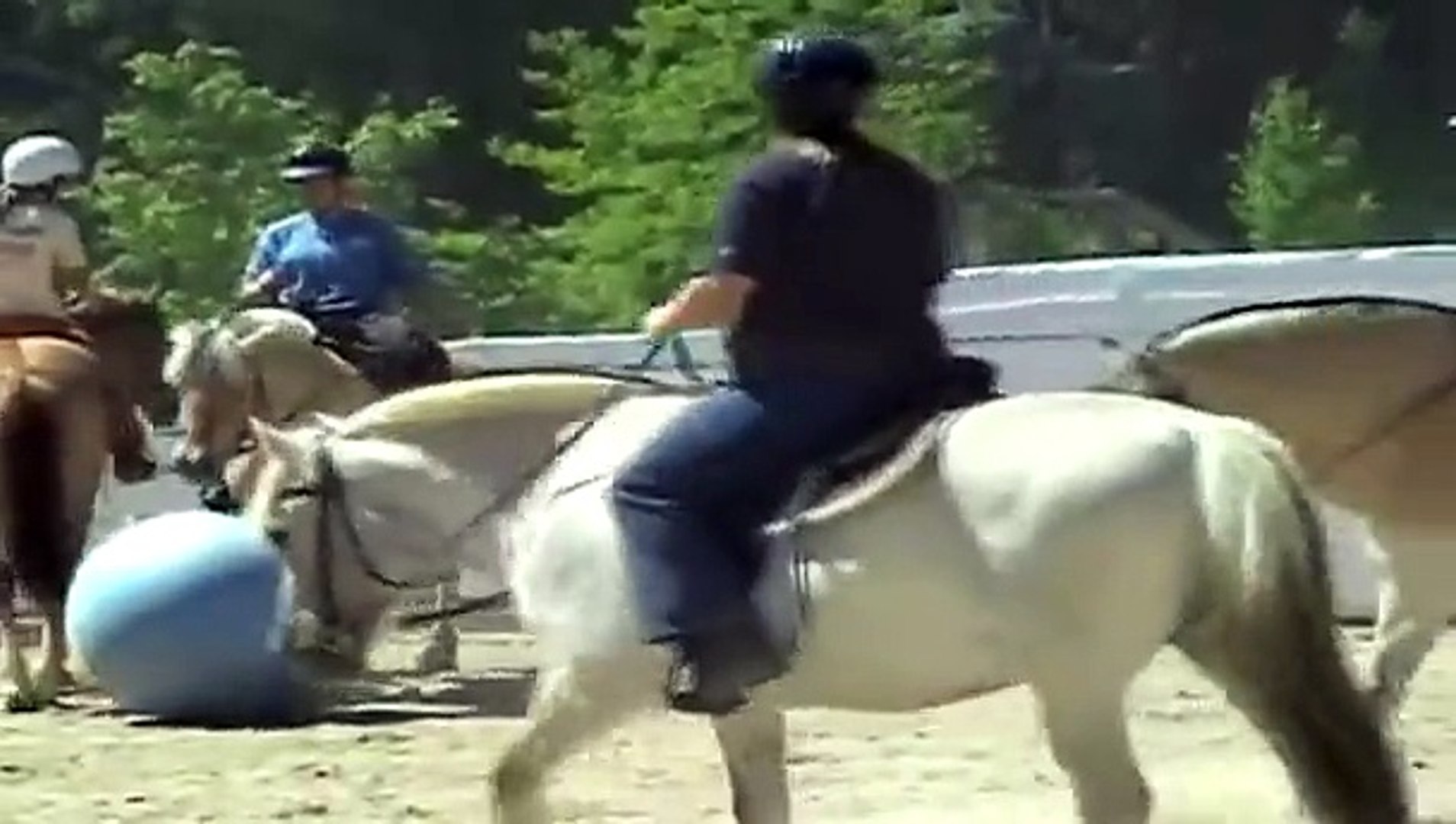 Pony Soccer