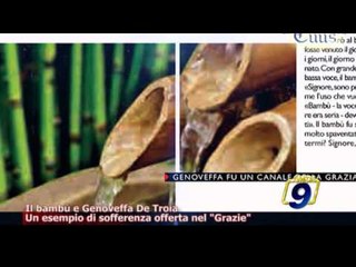 TOTUS TUUS | Il bambù e Genoveffa De Troia (30 luglio)