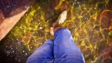 Disney World - I Look and Move by Constantine Konovalov Disney Favorite