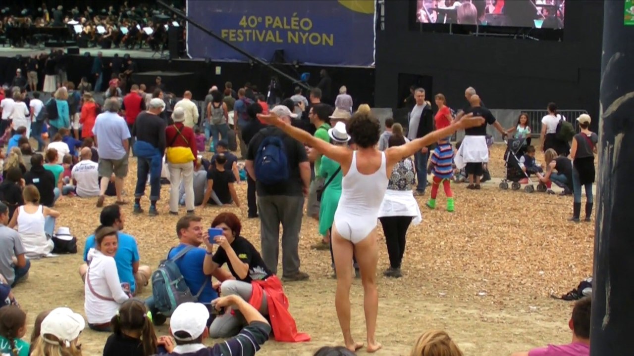 Paléo 2015 - Zapping du dimanche