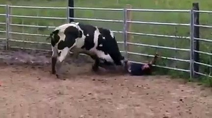 ‪#‎trendingtopicnews‬ the fury of this bull has been the trend in the last hours in social networks.