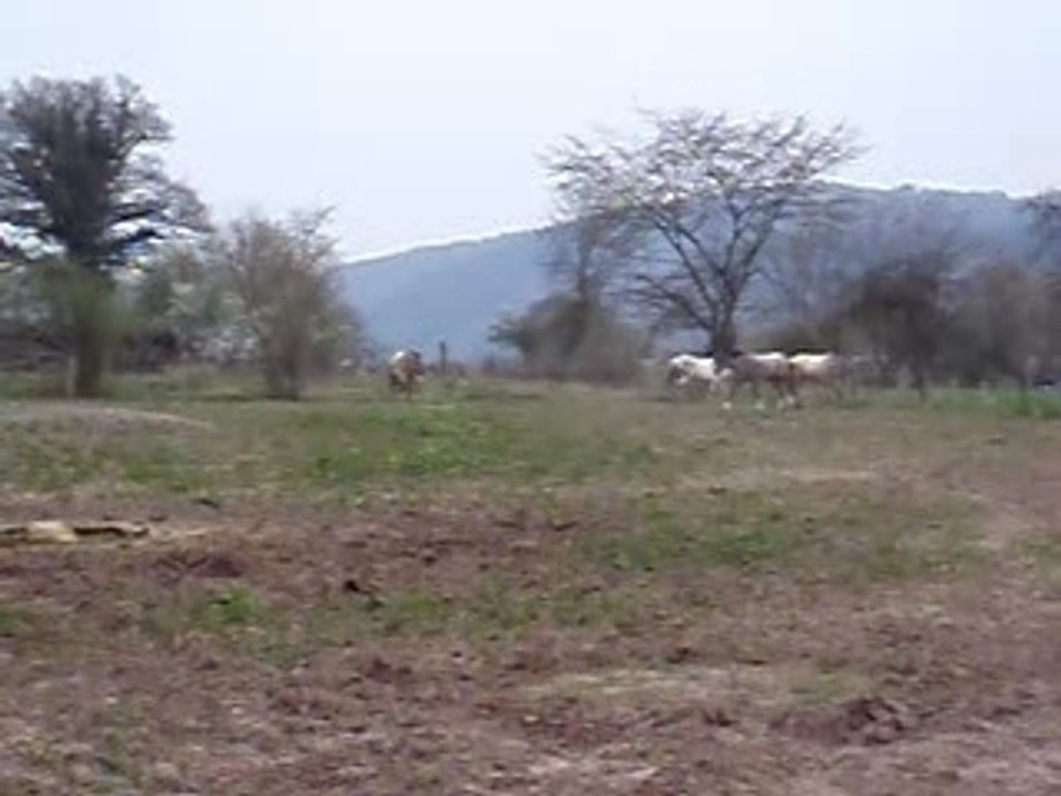 10avril07 041