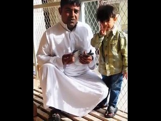 هواة الحمام الزاجل    بطل سباق المجمعة الدولي لموسم 2013م البطل زكريا السيهاتي