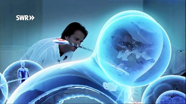 Das Tier in dir - Vom Einzeller zum Vielzeller | SWR Odysso - Das will ich wissen!