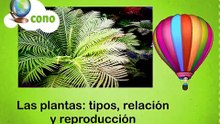 La Eduteca - Las plantas: tipos, relación y reproducción