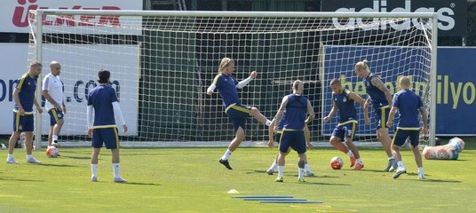 Fenerbahçe'de Shakhtar Donetks maçı hazırlıkları sürüyor