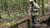 Dr. Igor Burtsev Investigates BFRO Bigfoot sighting location