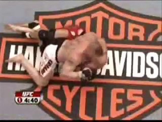 Brock Lesnar MMA Highlights