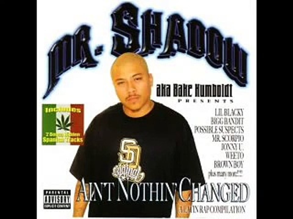 Mr Shadow- Gun Shots