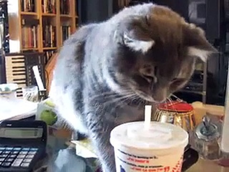 Dave and the Straw