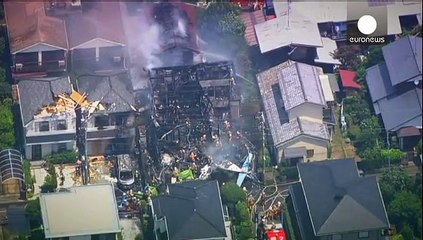 Small plane crash in Tokyo suburb leaves three dead