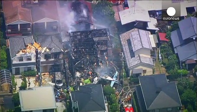 Small plane crash in Tokyo suburb leaves three dead