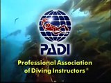 PADI Open Water Diver 1