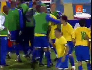 ARGENTINA VS BRAZIL 1-3  06.09.2009 SOUTH AFRICA WORLD CUP goals