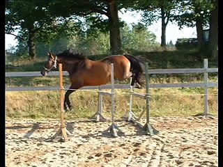 Till minne av Romantique