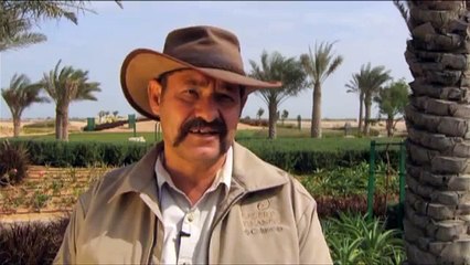 Hyena Cubs on Sir Bani Yas! صغار الضباع في صير بني ياس