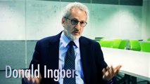 Donald Ingber - Biologically Inspired Engineering - Organs on a Chip!